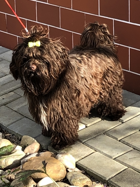 ghjjkiuytreds